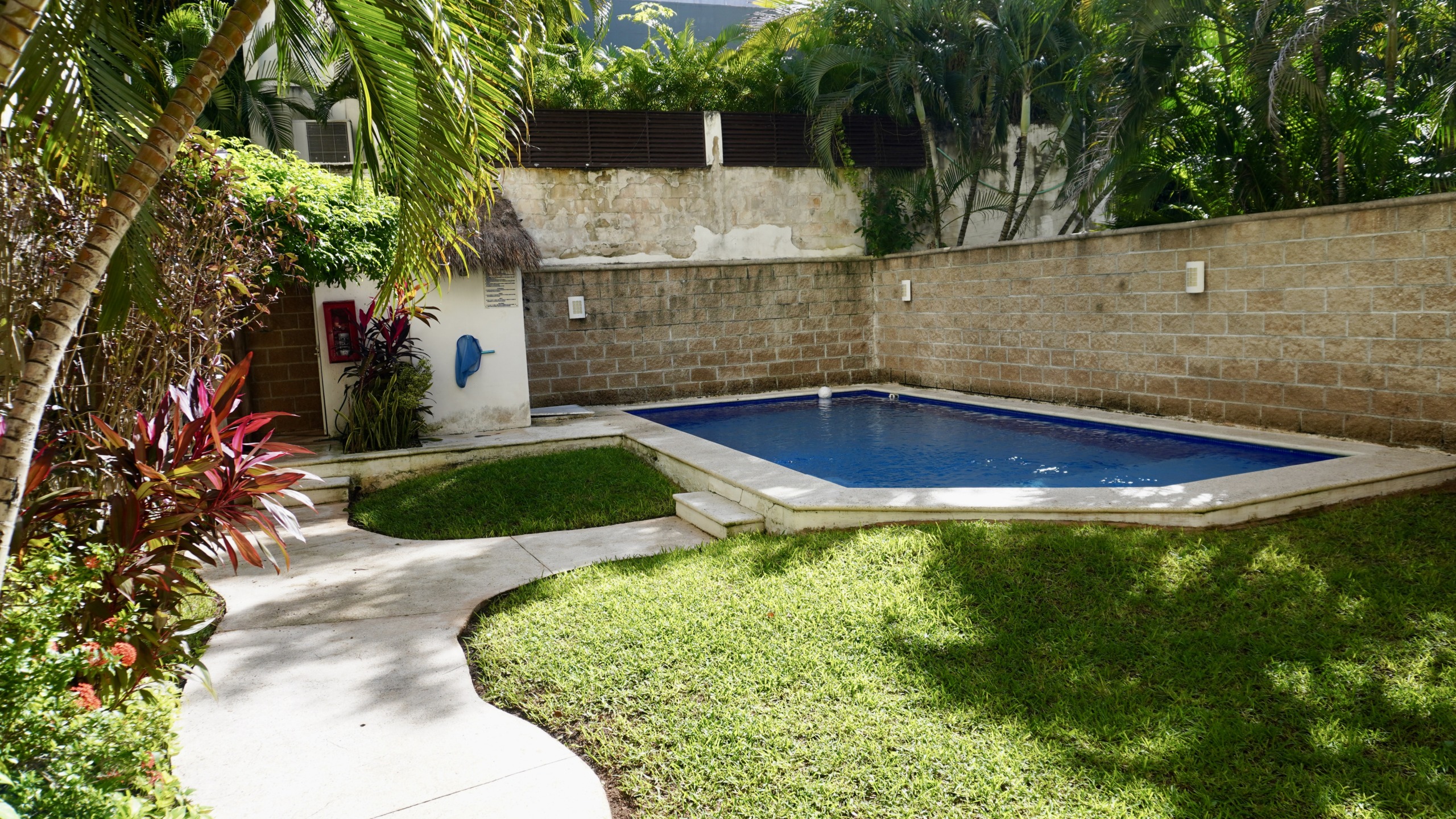 Departamento en venta en centro cancún - alberca rectangular en patio trasero rodeado de un jardín tropical y un muro de piedra