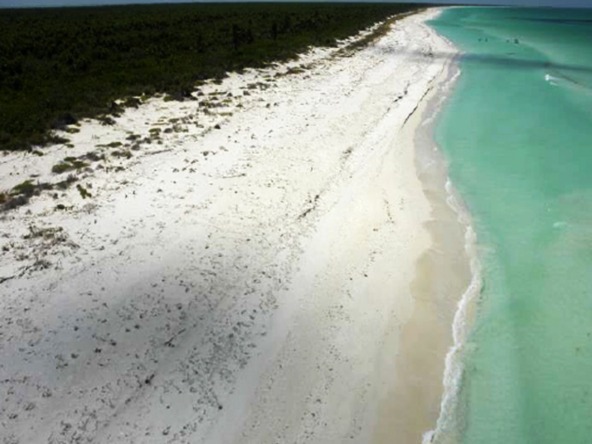 Terreno en venta en isla holbox - Playa con arena blanca, mar turquesa y vegetación costera al fondo
