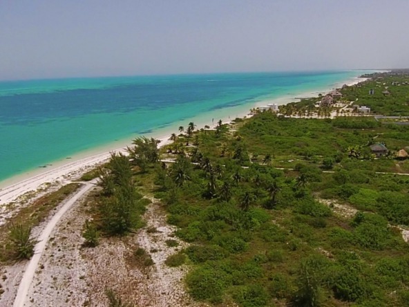 Terreno en venta en isla holbox - vista aérea hacia manglar y el mar