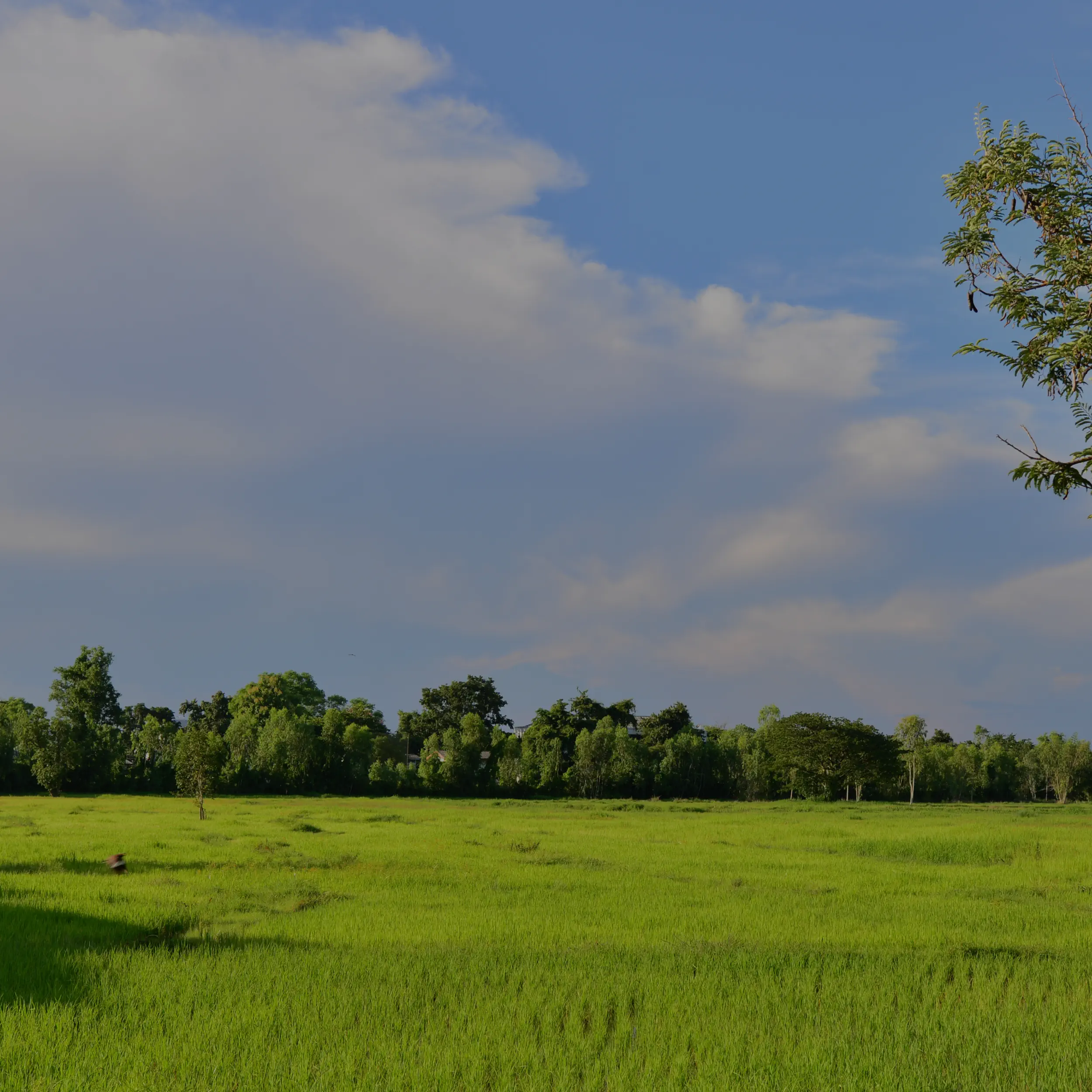 Terrenos en venta en Cancún y Riviera Maya - Costa Realty